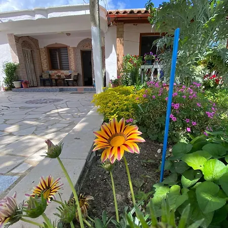 Kristel * فلورا