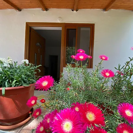 Kristel Guest house Vlore